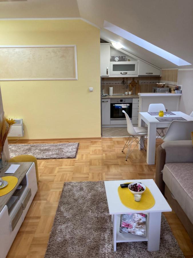 Apartmani Grand Lux Vrnjačka Banja Eksteriør billede